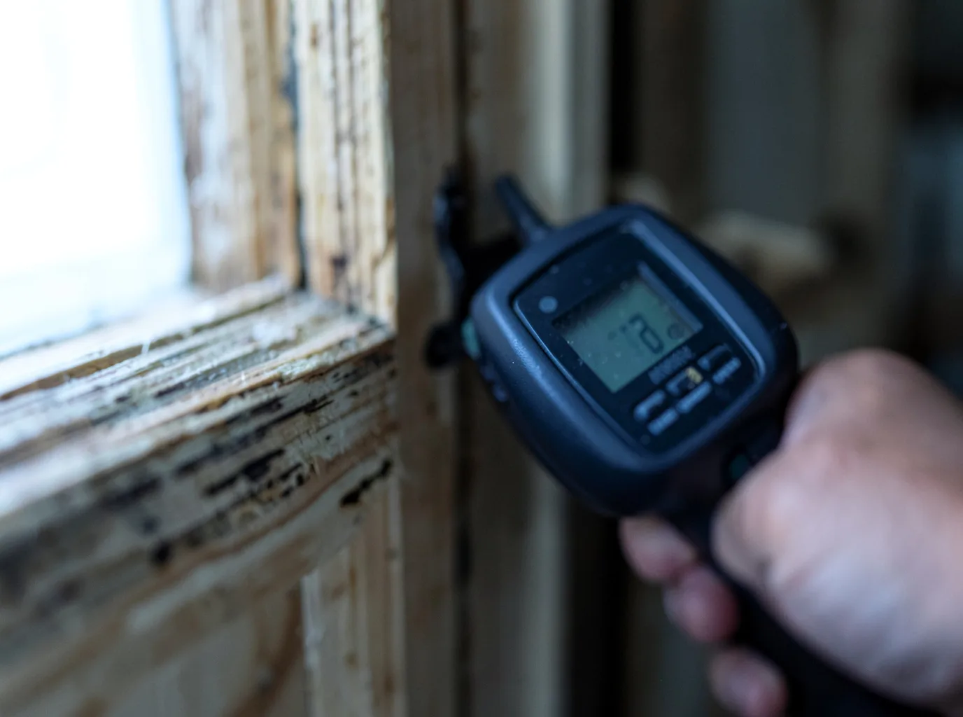 Moisture Inspection And Documentation in Fort Hancock, TX